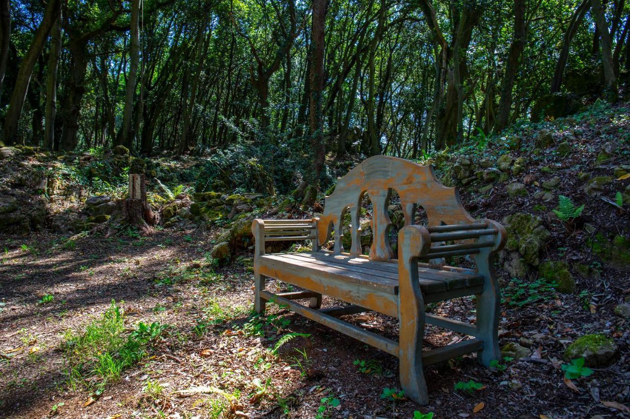 Vibe Luxury Cabins Arnuero Extérieur photo