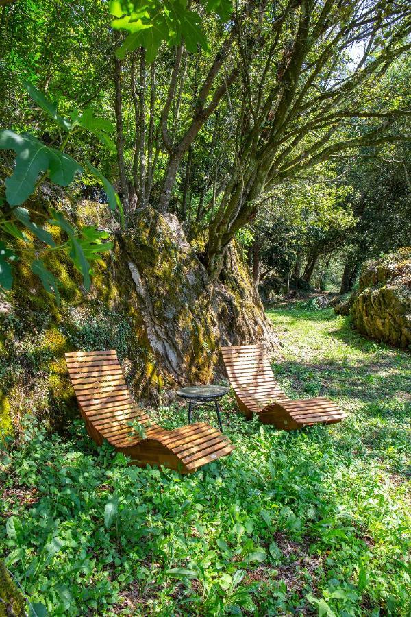 Vibe Luxury Cabins Arnuero Extérieur photo