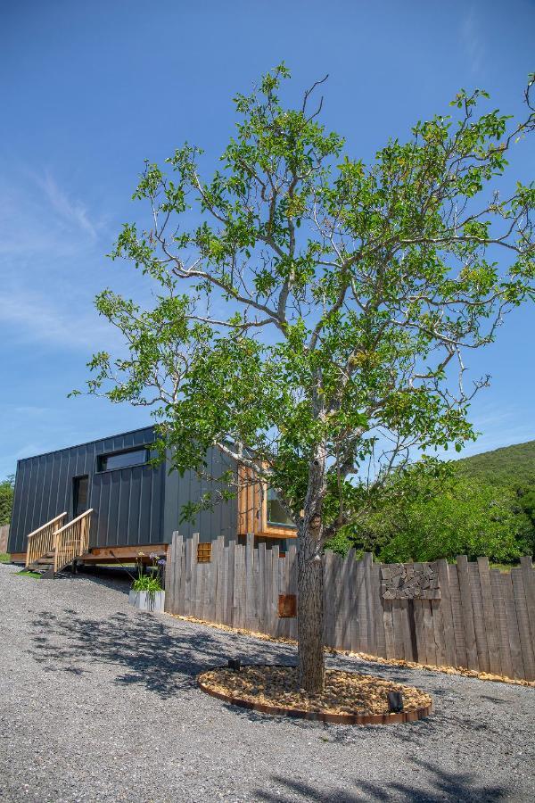 Vibe Luxury Cabins Arnuero Extérieur photo