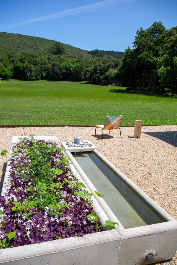 Vibe Luxury Cabins Arnuero Extérieur photo